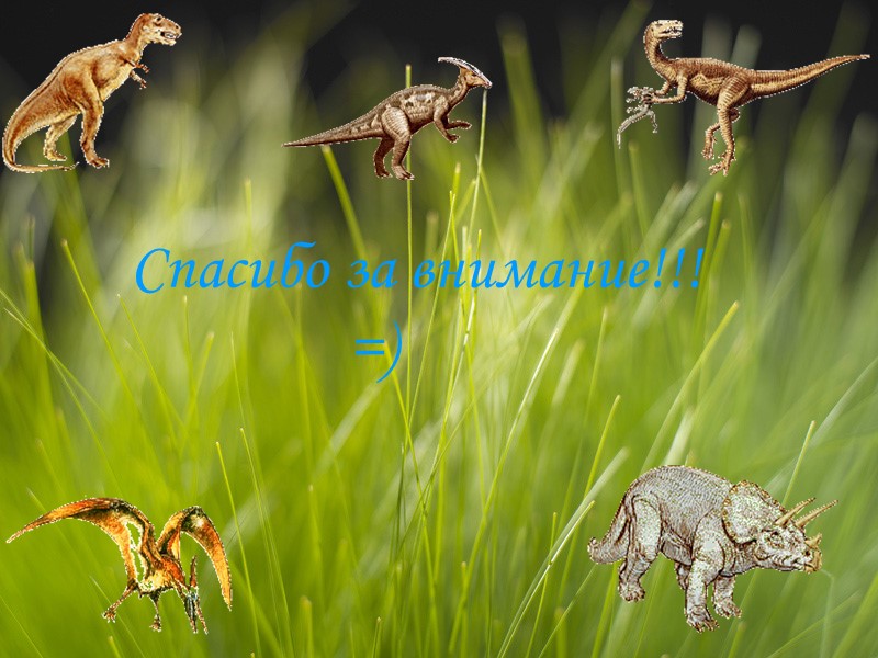 Спасибо за внимание!!!           